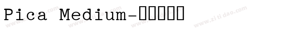 Pica Medium字体转换